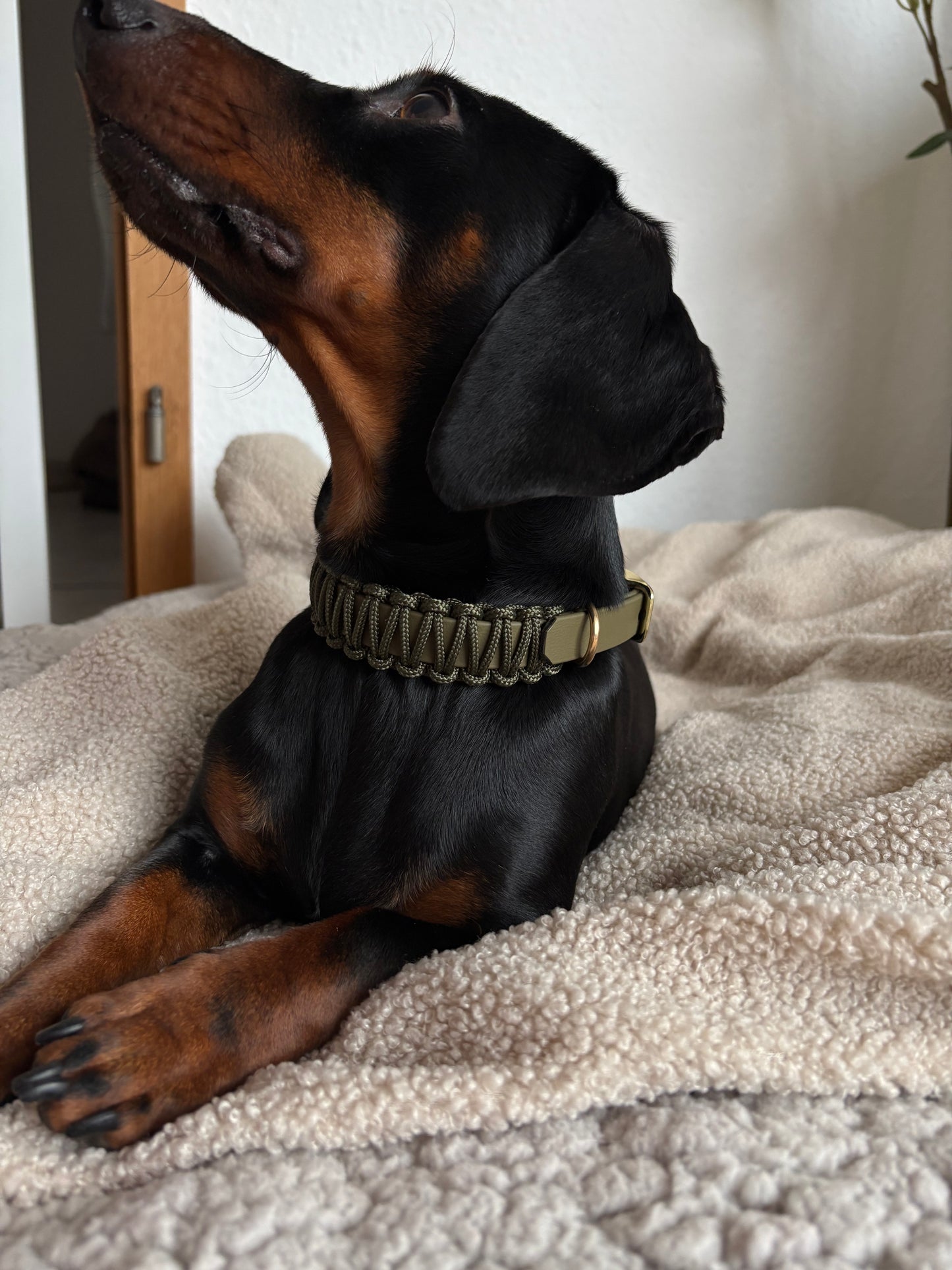 Olive Whisper Halsband