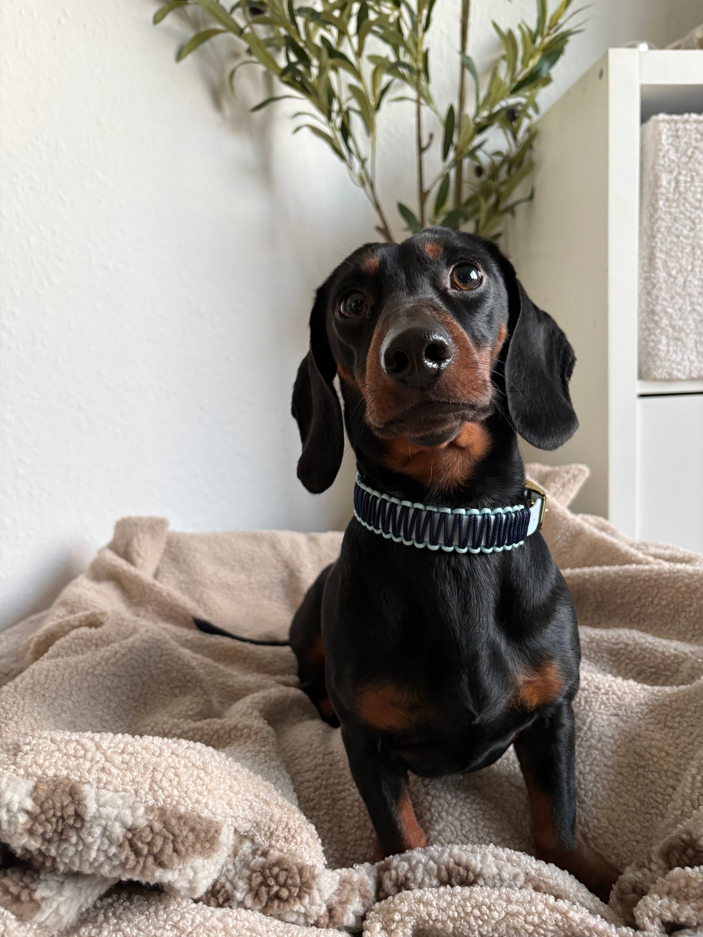 Little Sailor Halsband