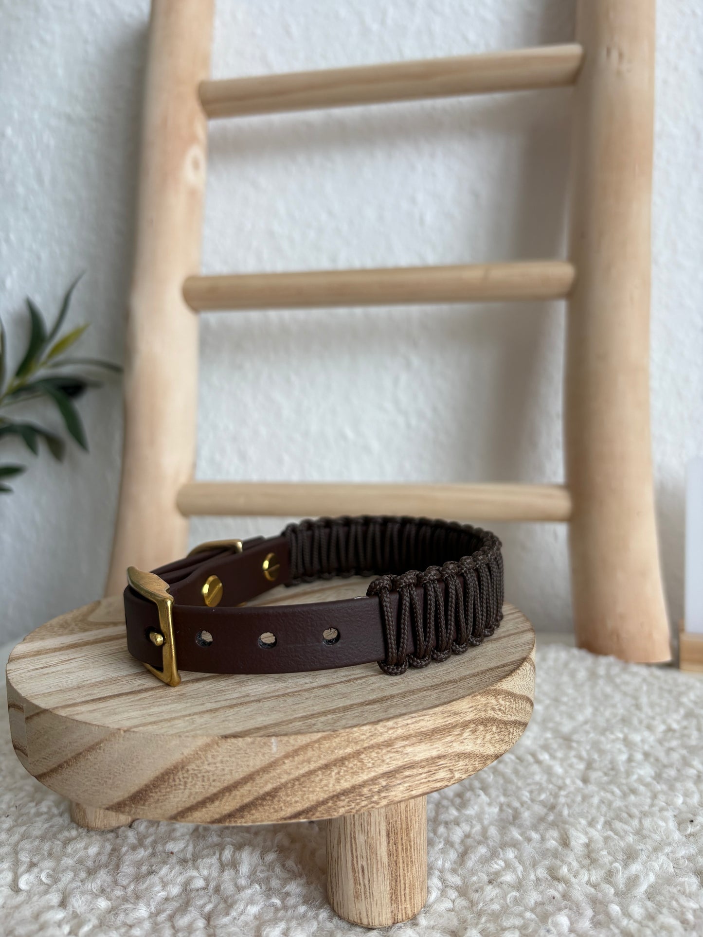 Brownie Mini Halsband HU 25-31cm