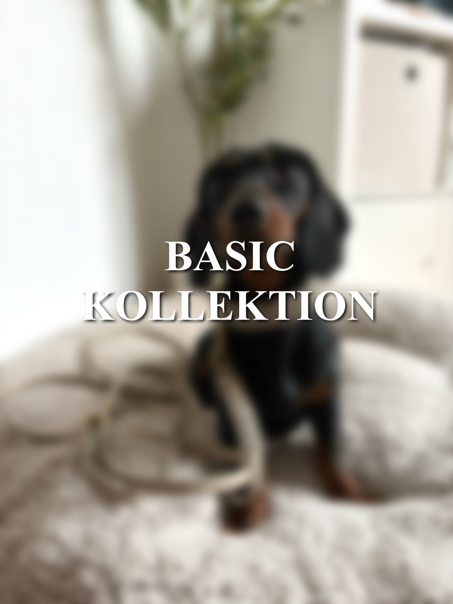 Basic Kollektion
