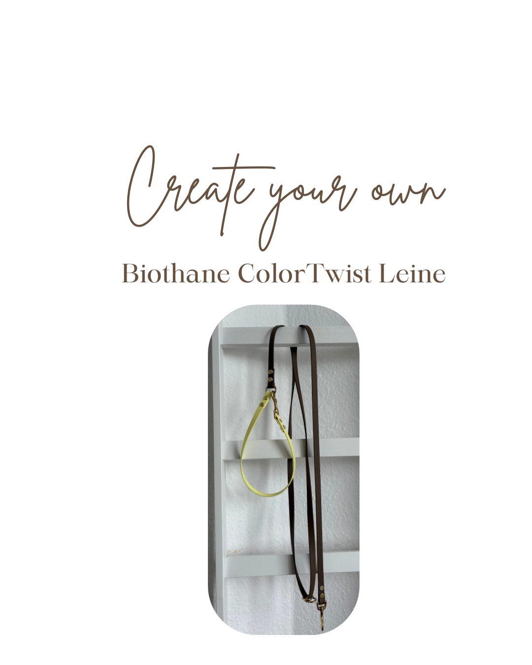 Create your own - ColorTwist Leine