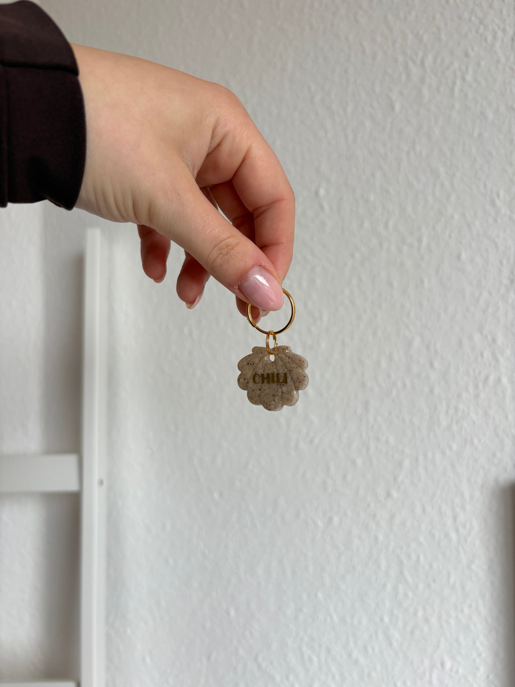 Hundemarke Muschel 🐚