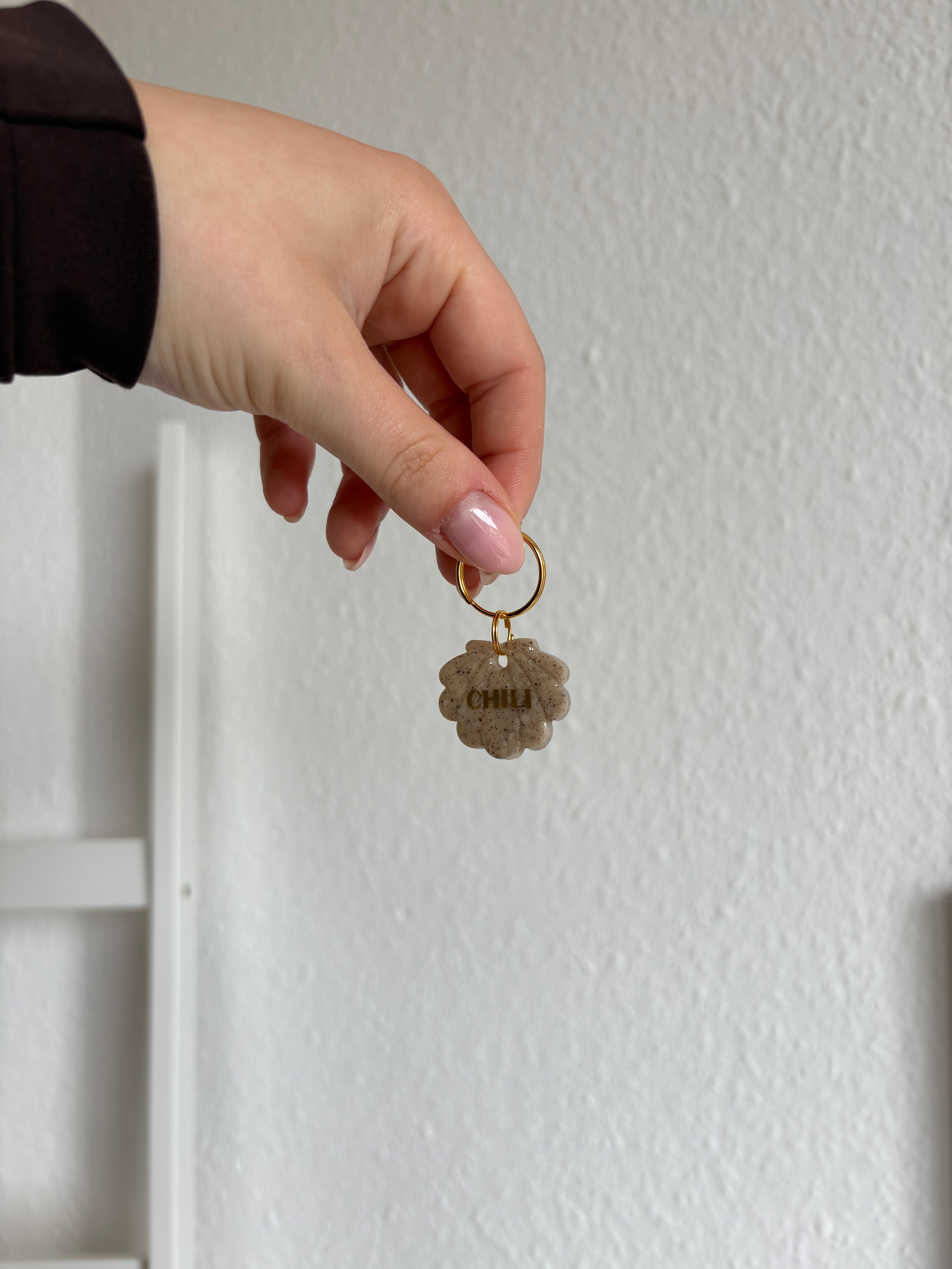Hundemarke Muschel 🐚