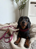 Classic Halsband -  Cranberry Kiss