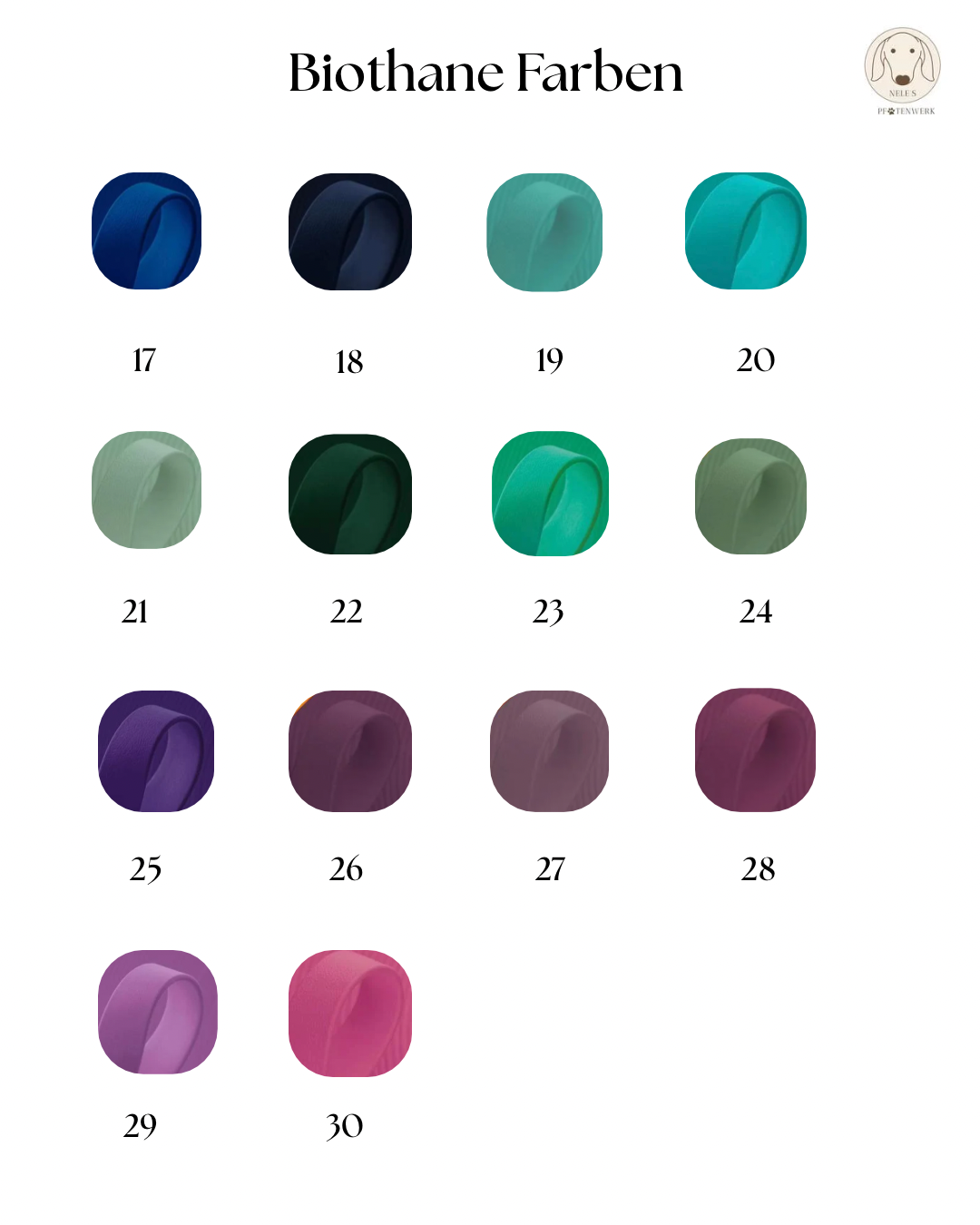 Retrieverleine Biothane x Paracord