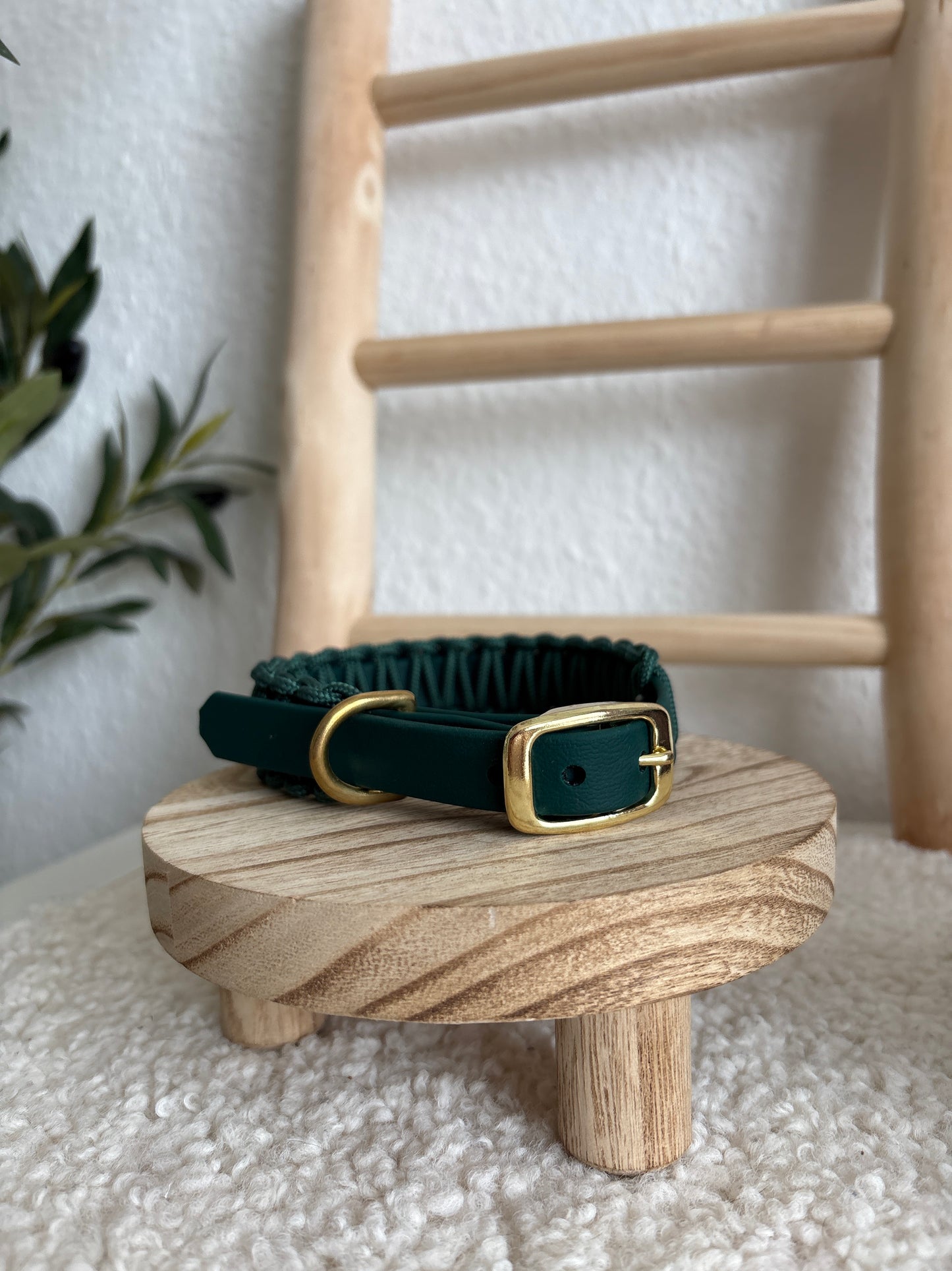 Alpine Halsband HU 28-32cm