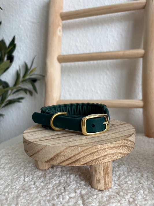 Alpine Halsband HU 28-32cm