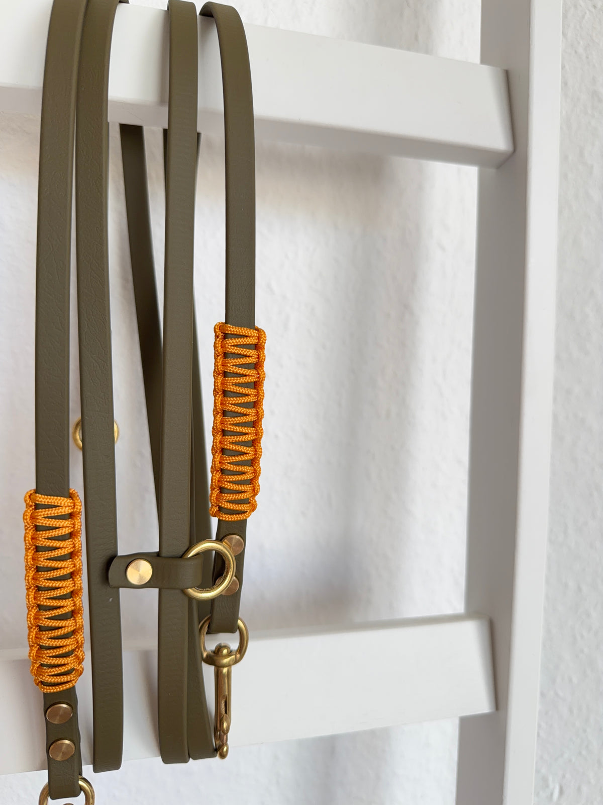 Biothane x Paracord Leine | Autumn Leaves