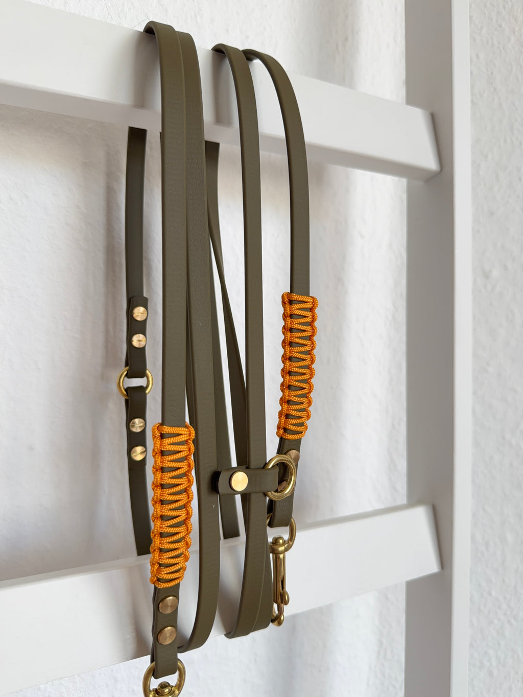 Biothane x Paracord Leine | Autumn Leaves