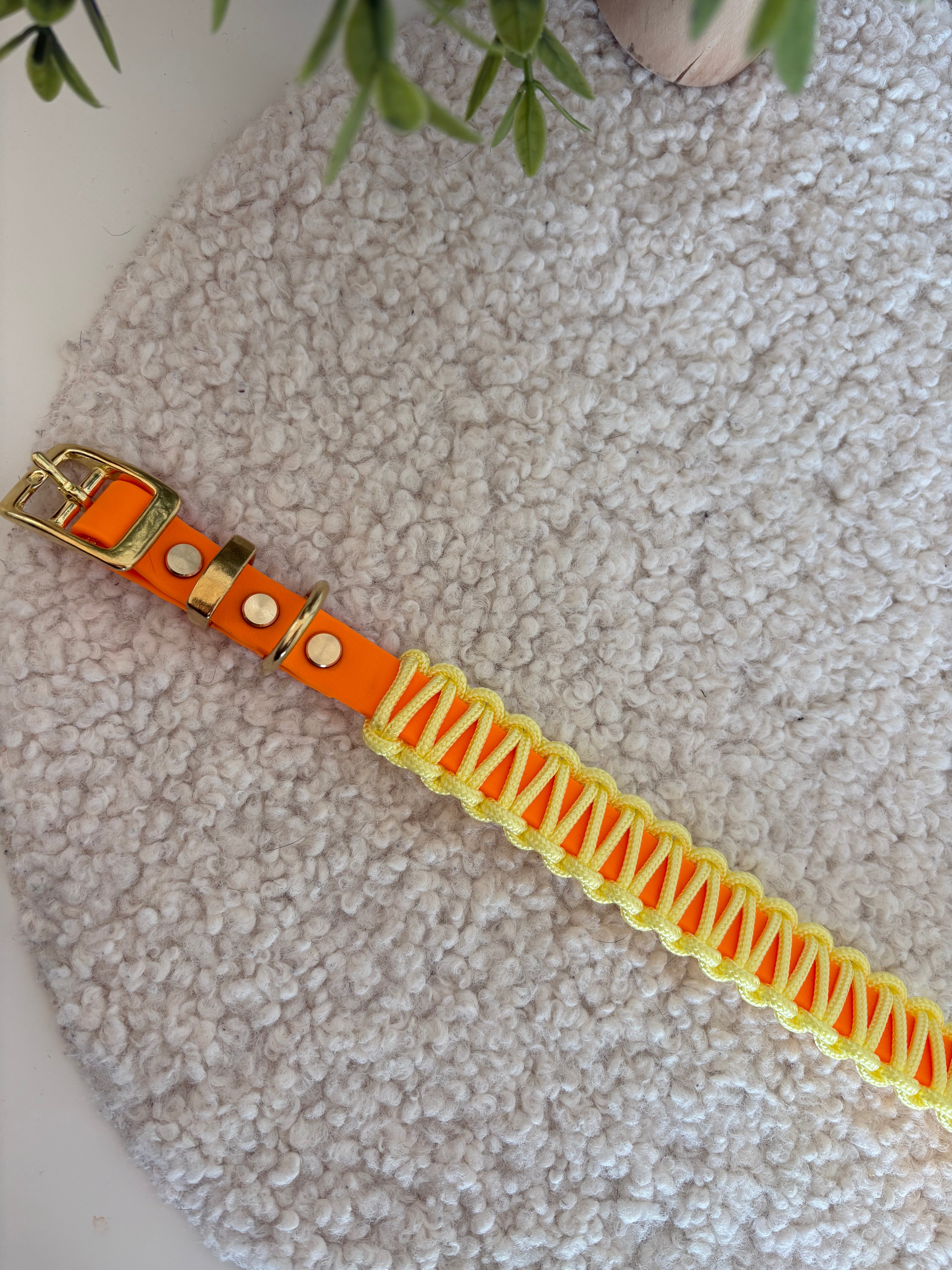 Biothane x Paracord Halsband HU 26-32🧡💛