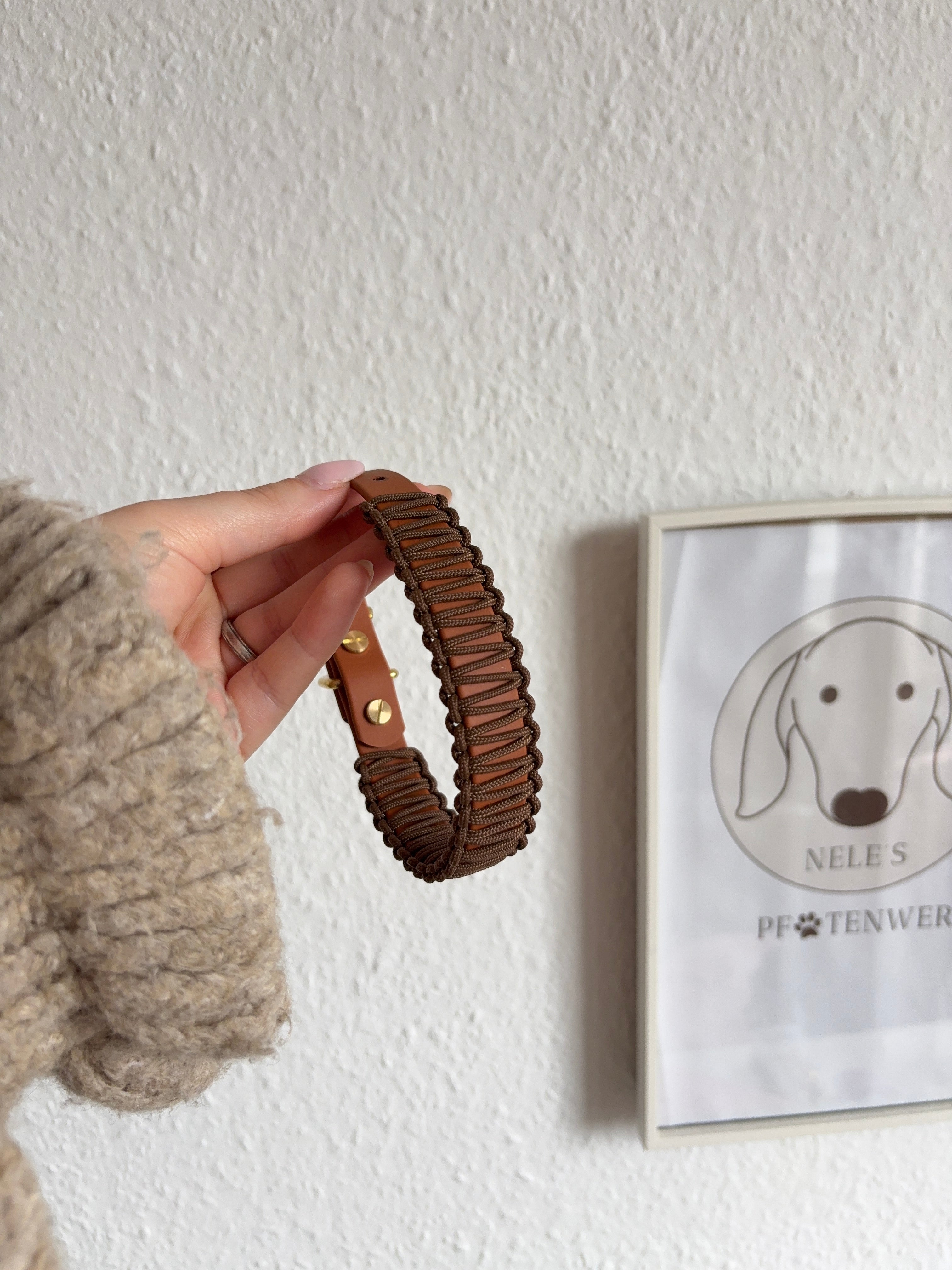 Classic Halsband - Peanut HU 26,5-32,5cm