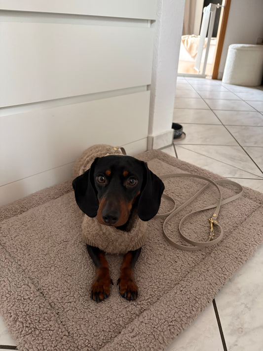 Create your own - Biothane Leine