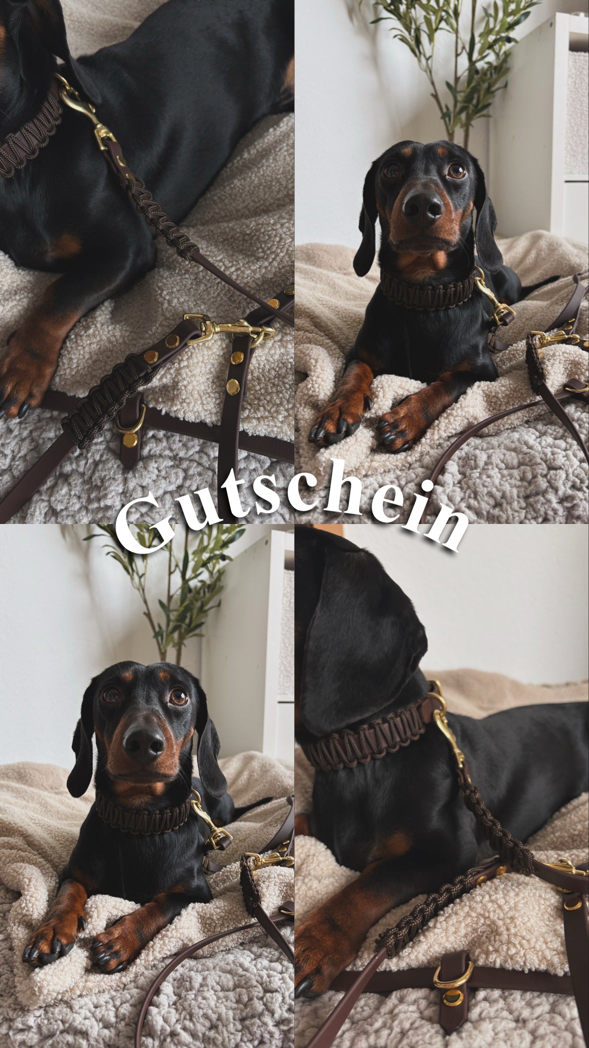 Gutschein 💌