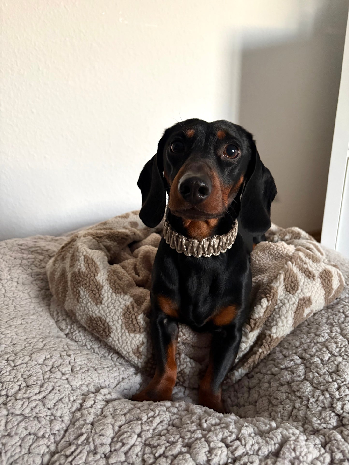 Desert Glow Halsband