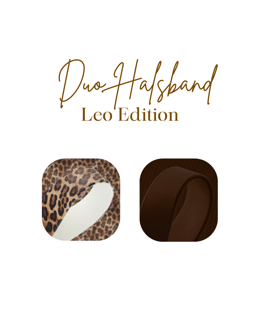 Duo Halsband - Leo Edition